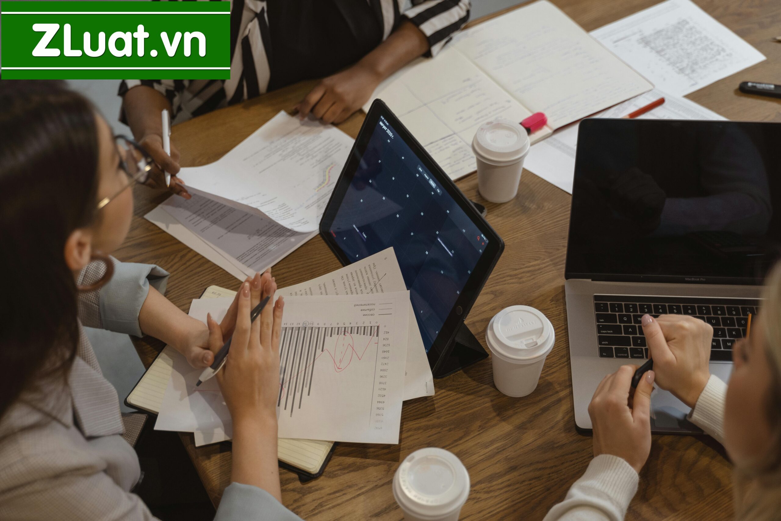 Dịch vụ tư vấn đăng ký hoạt động Công ty TNHH tại xã Xuân Thới Sơn, Thành phố Hồ Chí Minh - Ảnh 2